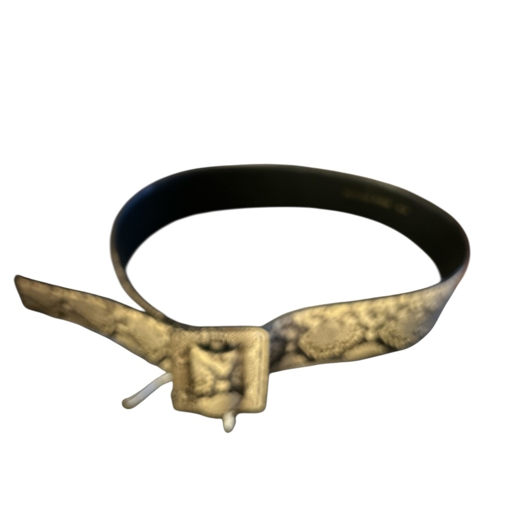 Stylish Python Snakeskin Belt With Square Buckle … - image 1